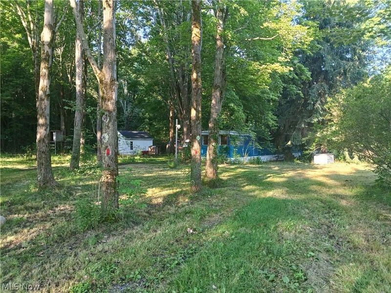 6168 Twitchell Road , Andover, OH 44003 Photo 9