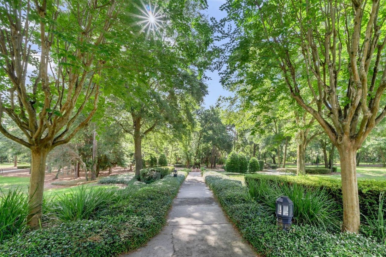 25608 Grandview Pointe, Sorrento, FL 32776 Photo
