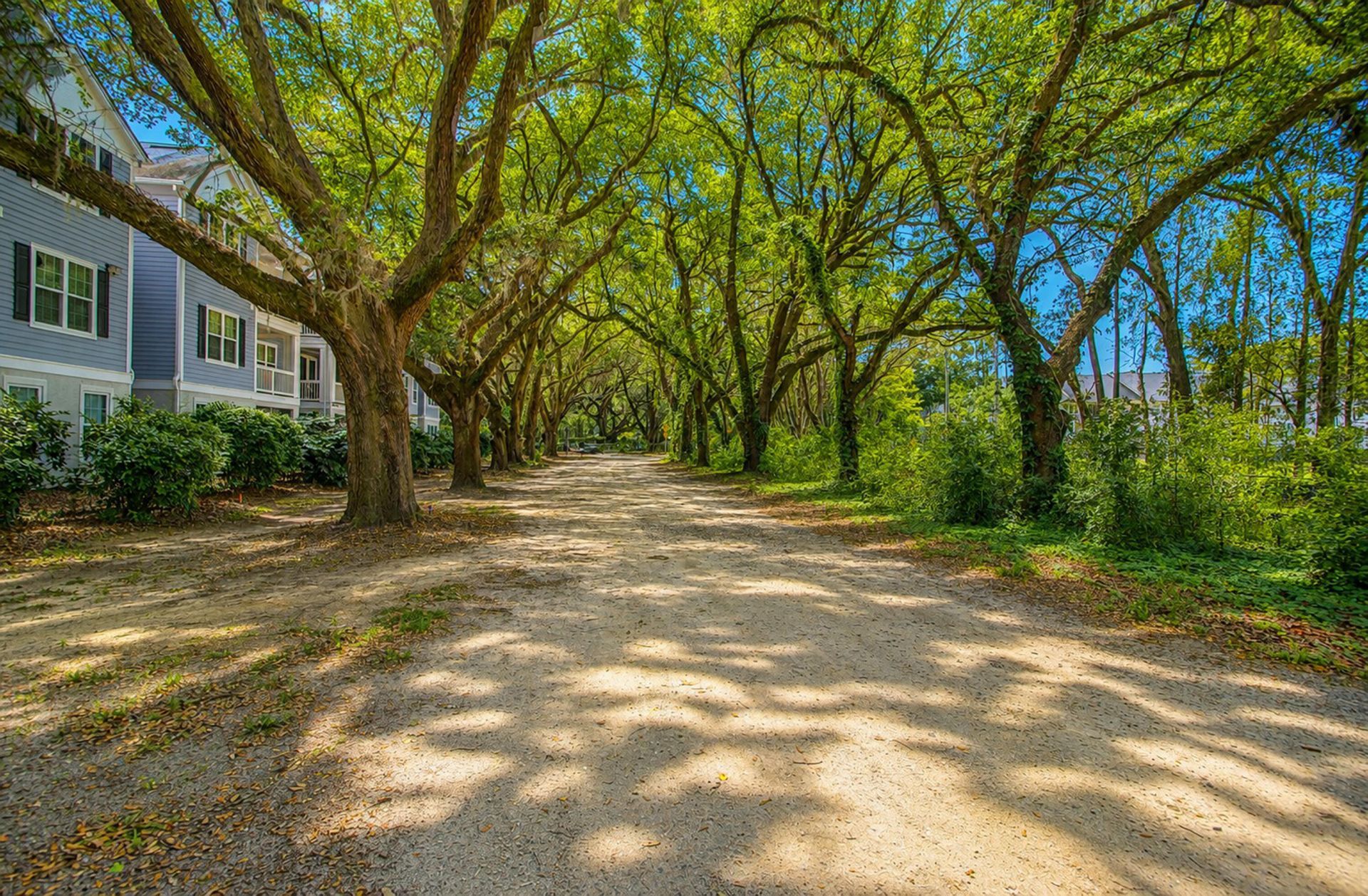 60 Fenwick Hall Allee Alley Photo 30