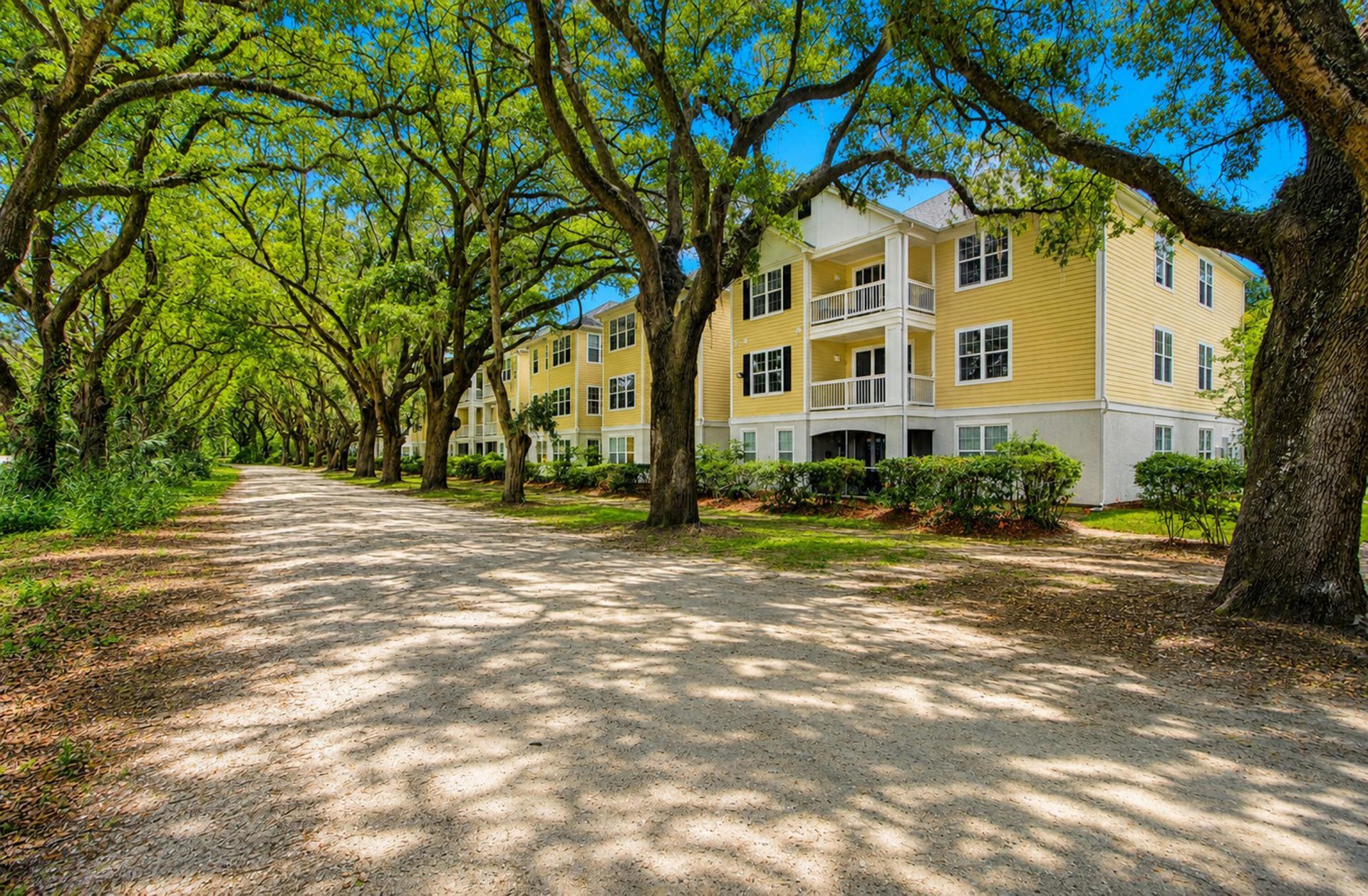 60 Fenwick Hall Allee Alley Photo 32