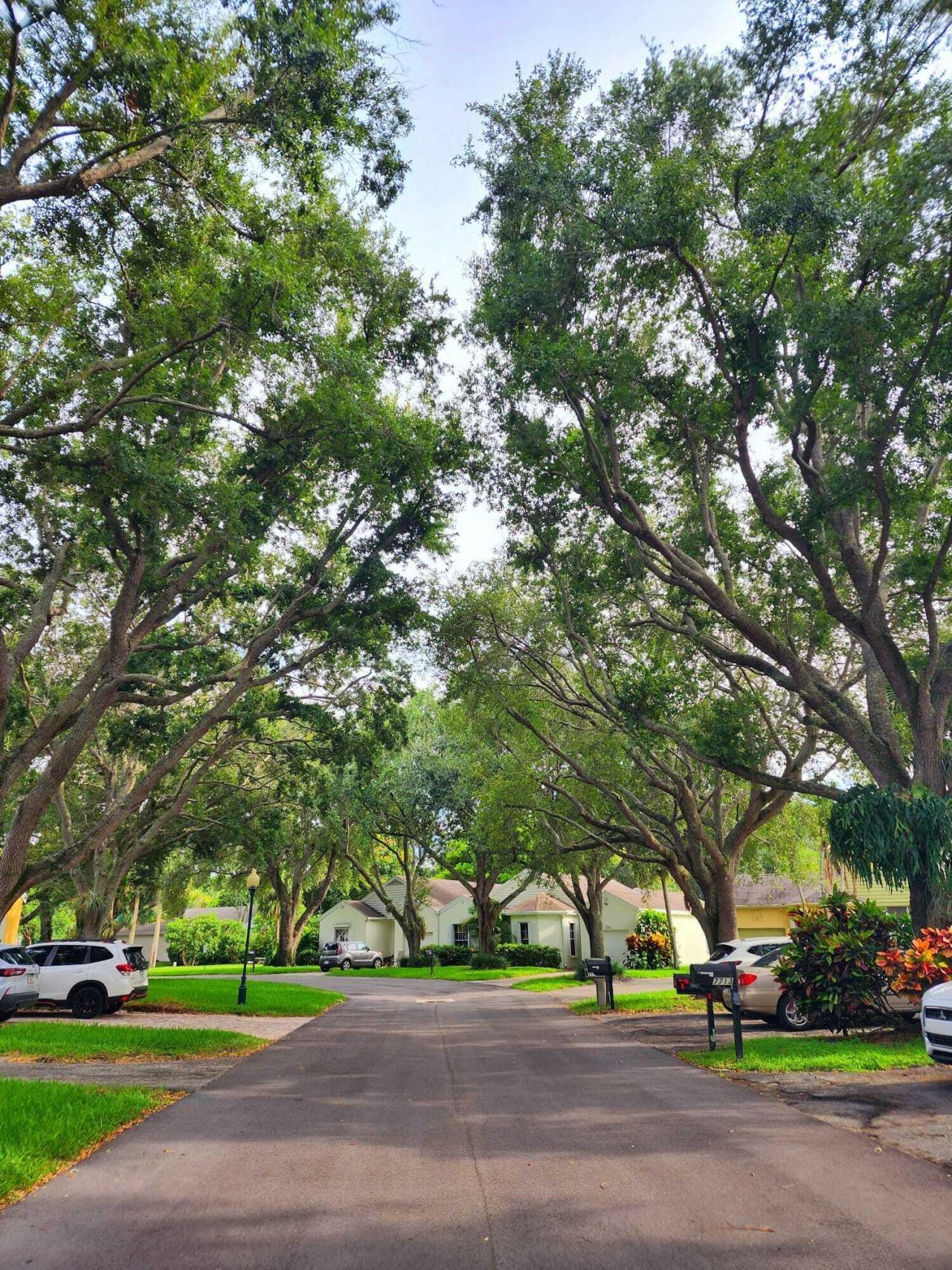7705 Forest Green Lane, Boynton Beach, FL 33436 Photo