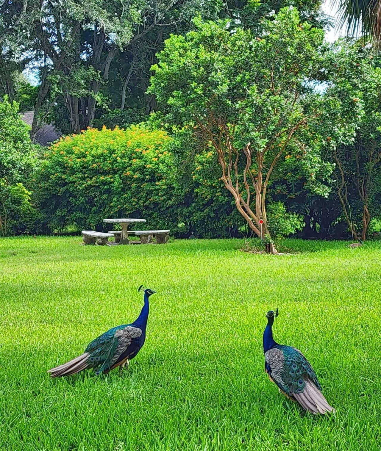 7705 Forest Green Lane, Boynton Beach, FL 33436 Photo