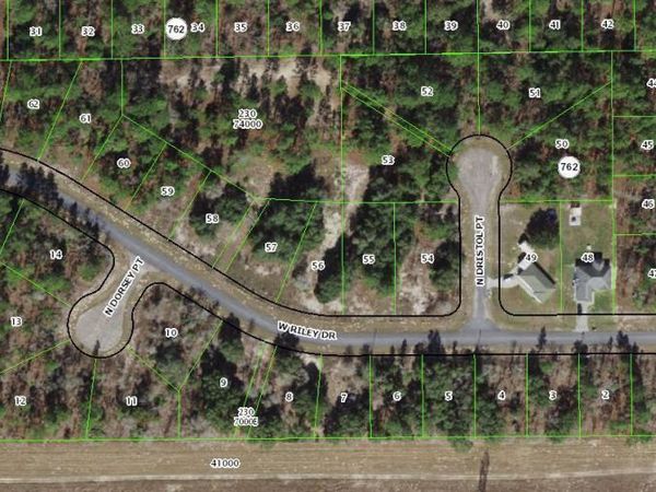 6901 N SWAN Point, Dunnellon, FL 34434
