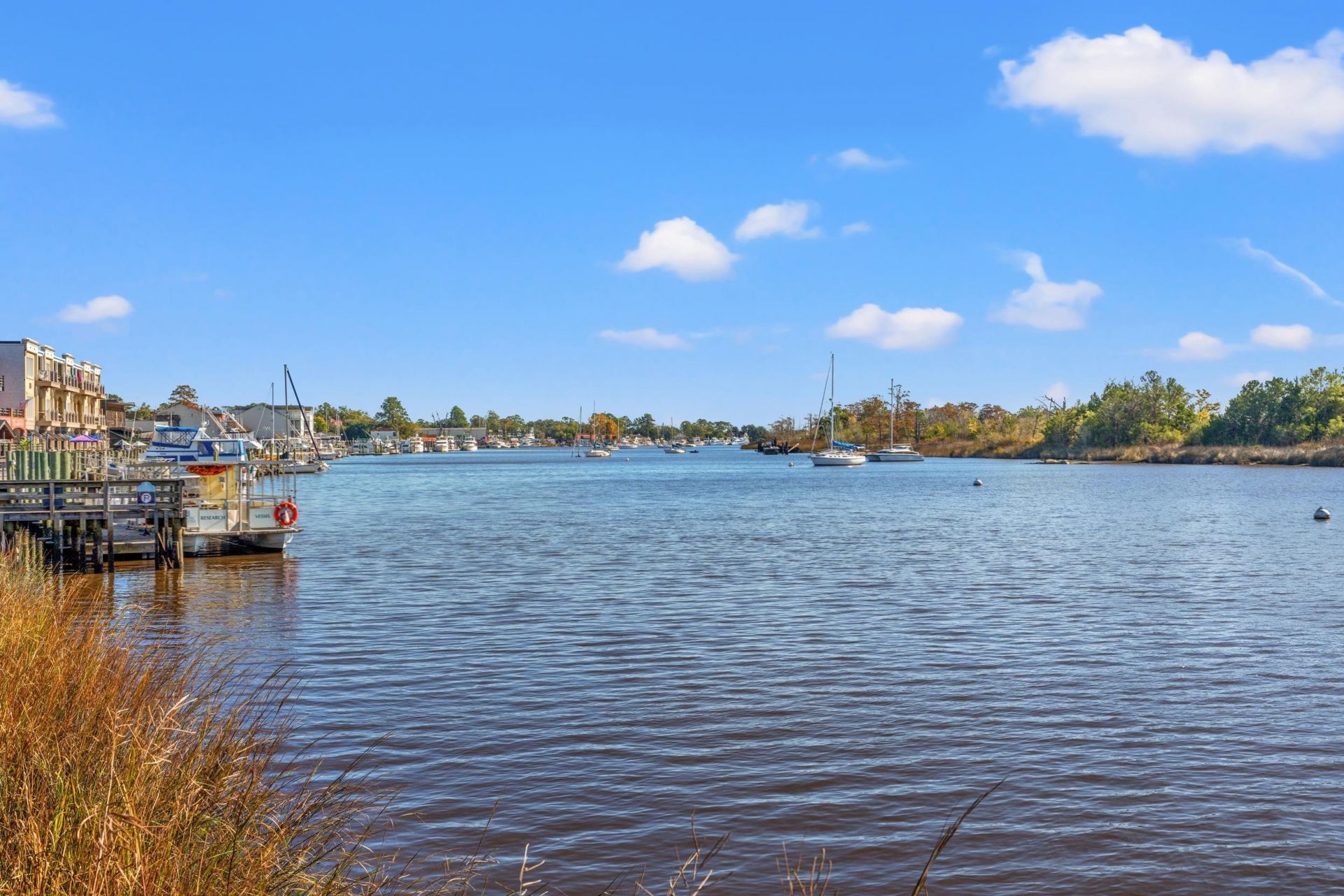 189 Moury Dr Photo 30