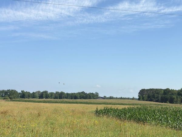 19285 90th Avenue , Milaca, MN 56353