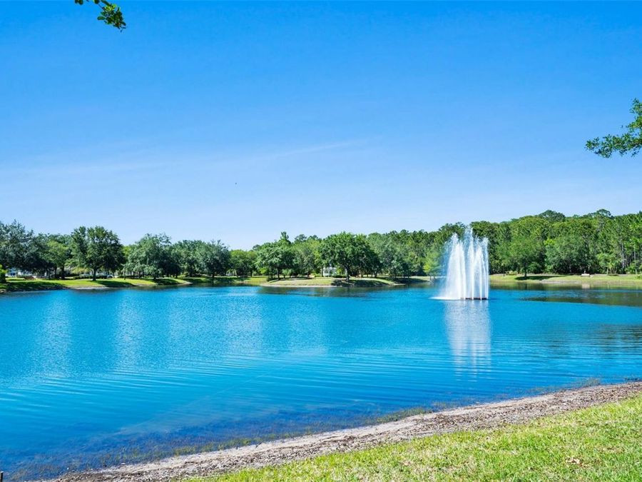 Property Image 60