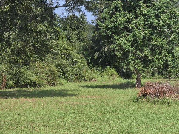 762 Doctor Nelson Road, DeFuniak Springs, FL 32433