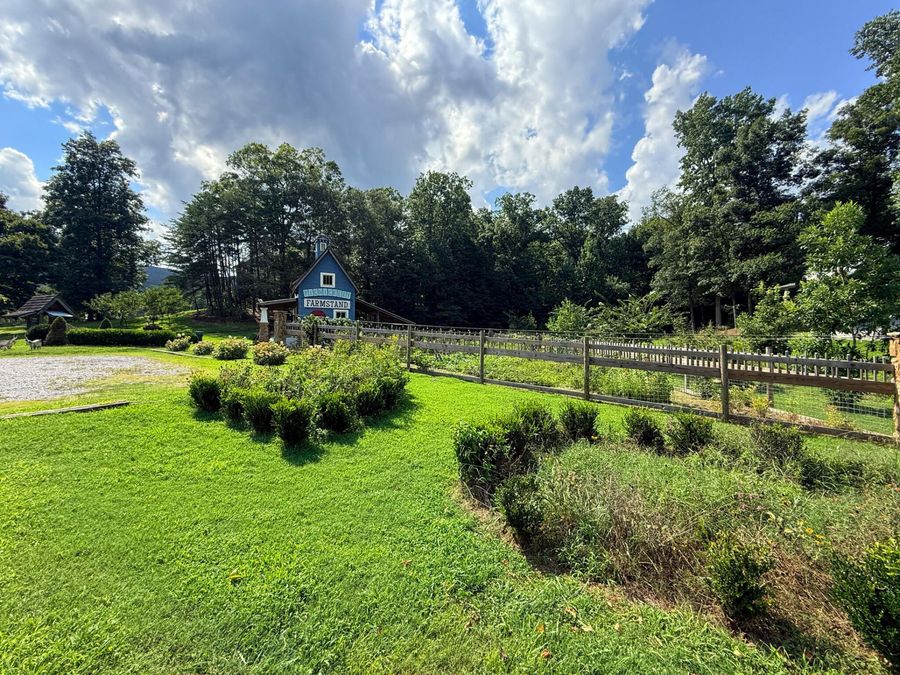 Property Image 18