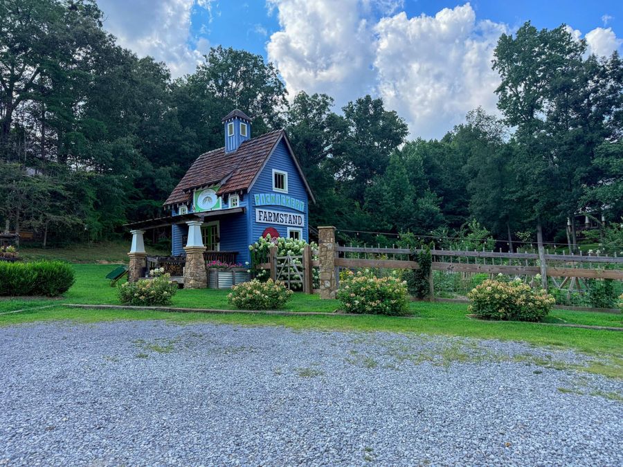 Property Image 21