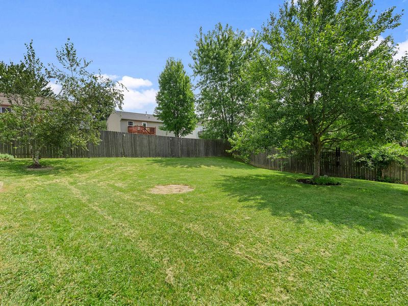 509 Rifle Lane, Erlanger, KY 41018 Photo 5