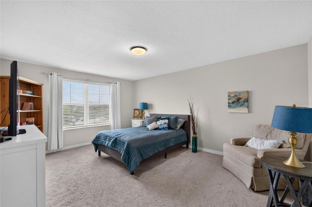 5119 White Chicory Drive, Apollo Beach, FL 33572 Photo