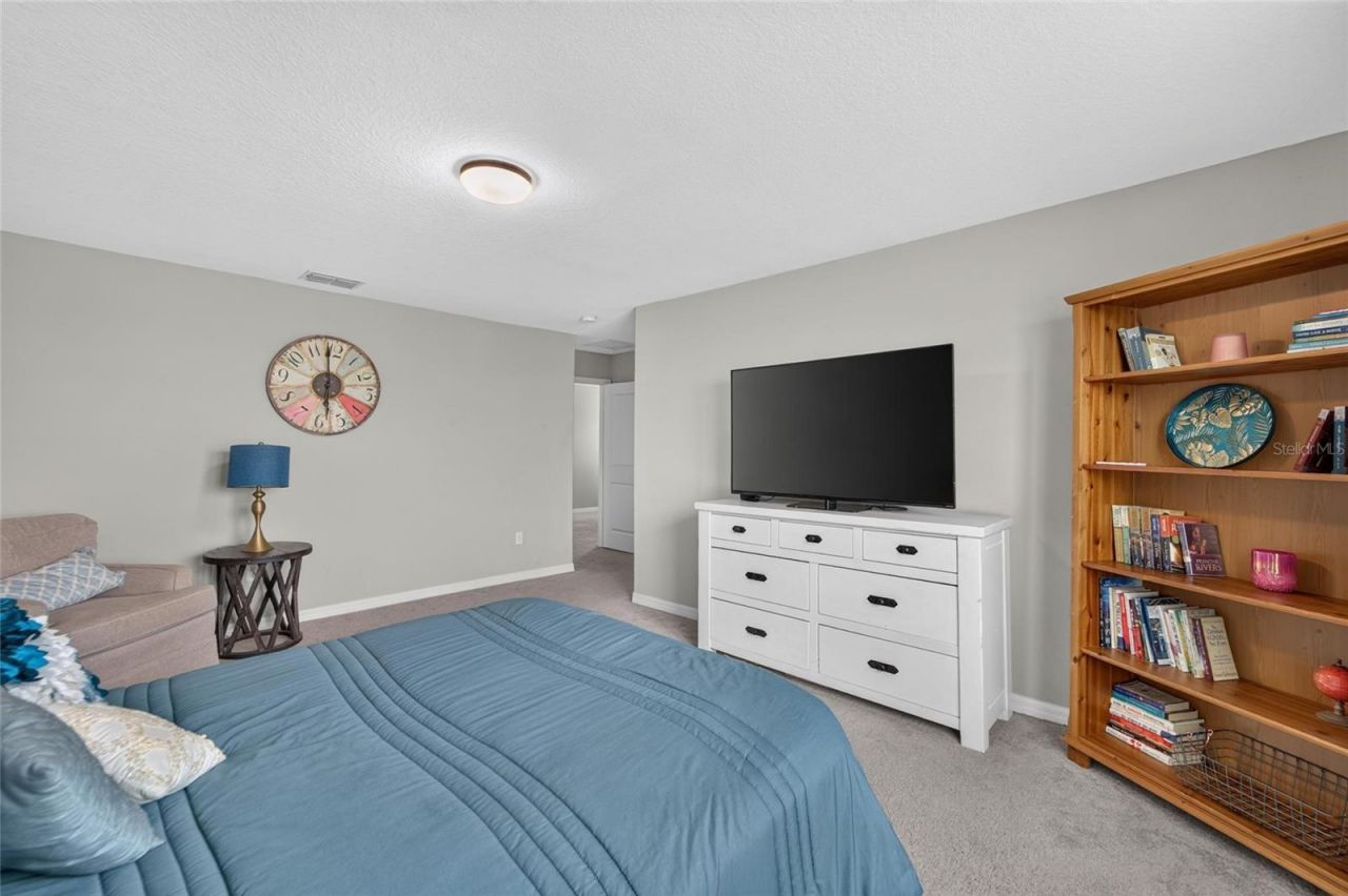 5119 White Chicory Drive, Apollo Beach, FL 33572 Photo