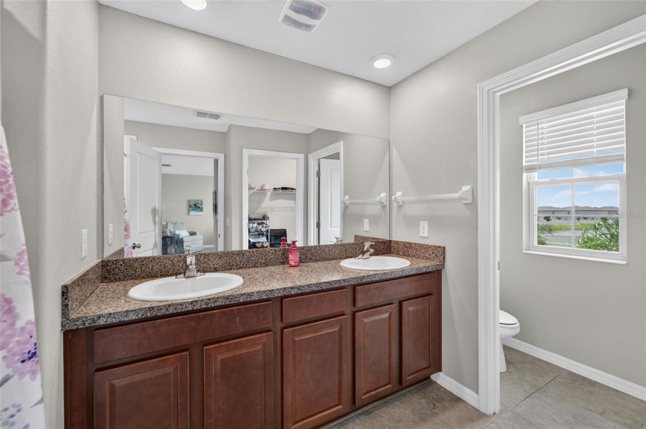5119 White Chicory Drive, Apollo Beach, FL 33572 Photo