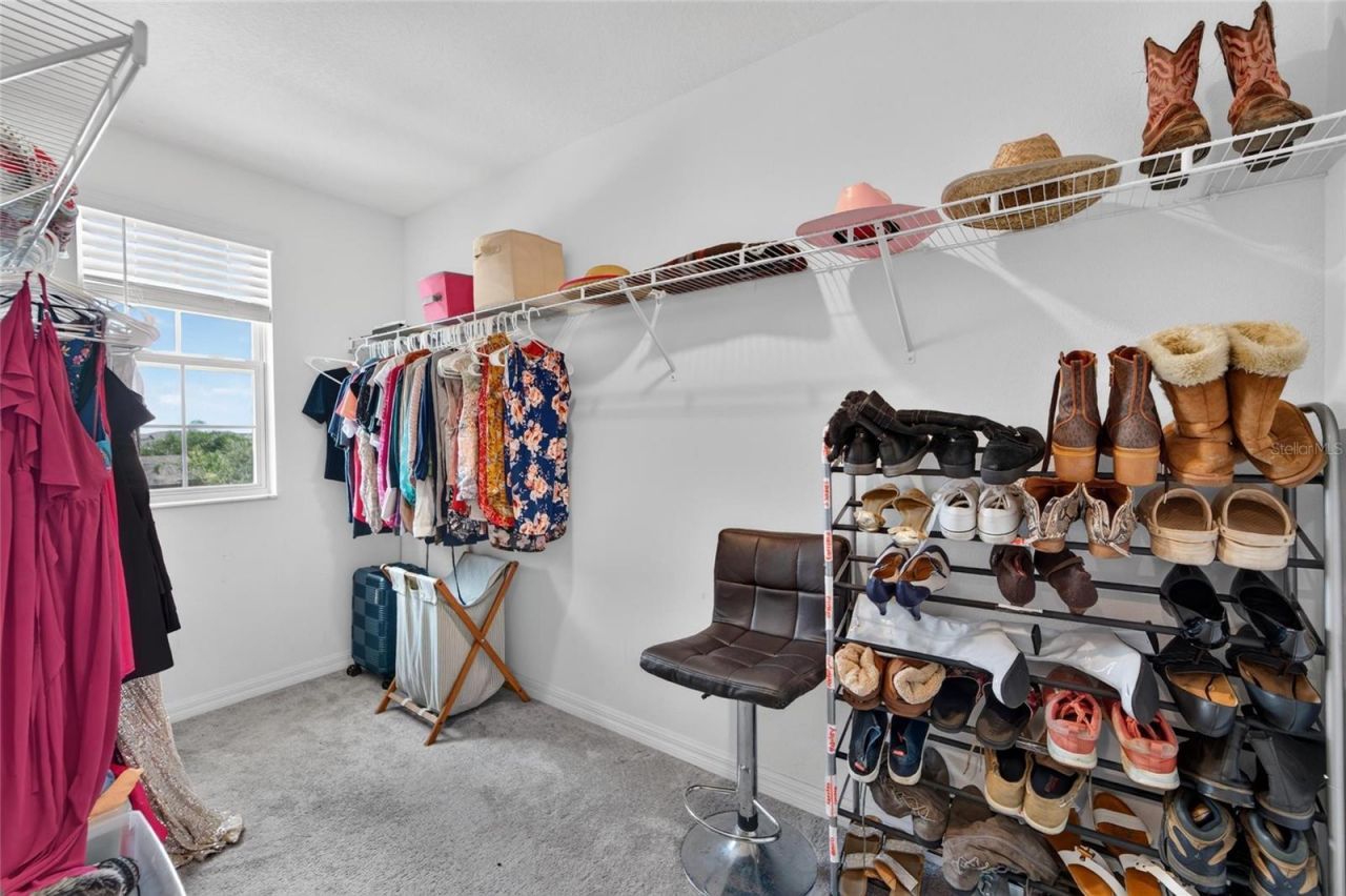 5119 White Chicory Drive, Apollo Beach, FL 33572 Photo