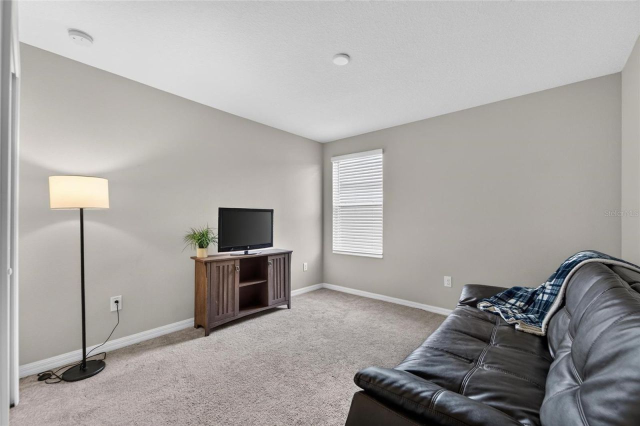 5119 White Chicory Drive, Apollo Beach, FL 33572 Photo