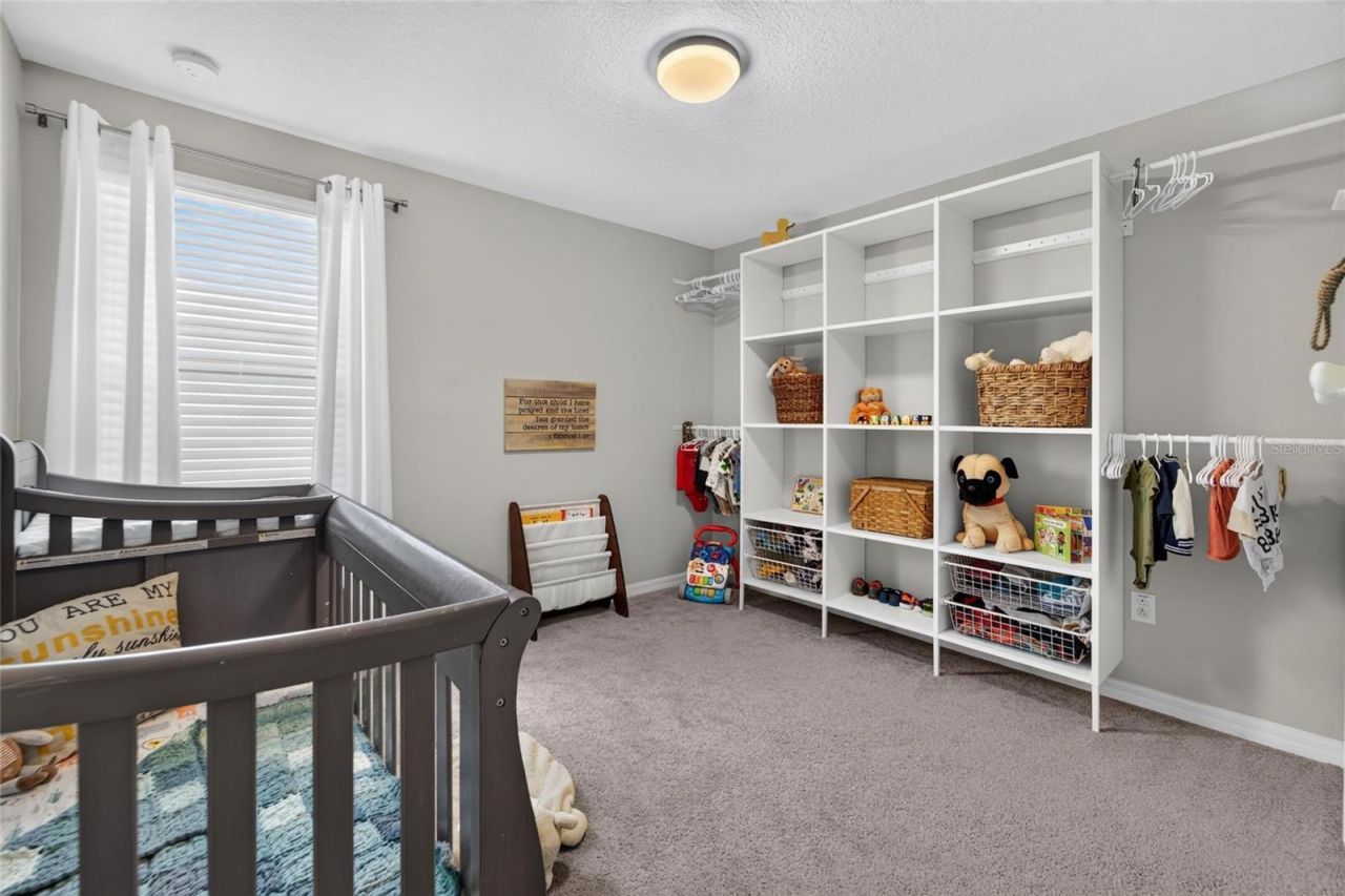 5119 White Chicory Drive, Apollo Beach, FL 33572 Photo
