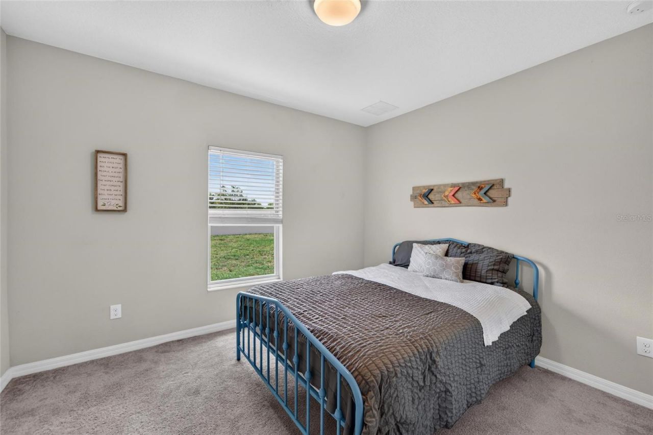 5119 White Chicory Drive, Apollo Beach, FL 33572 Photo