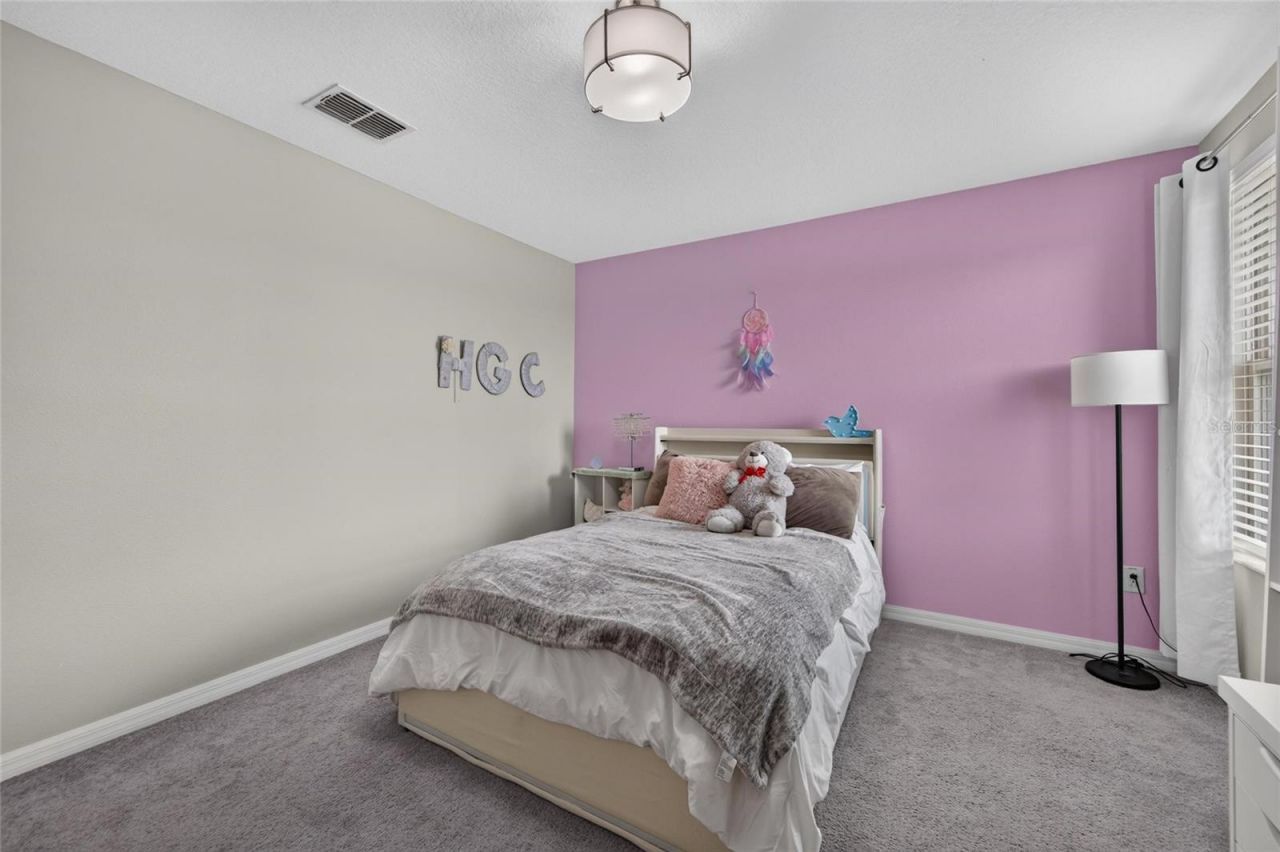 5119 White Chicory Drive, Apollo Beach, FL 33572 Photo