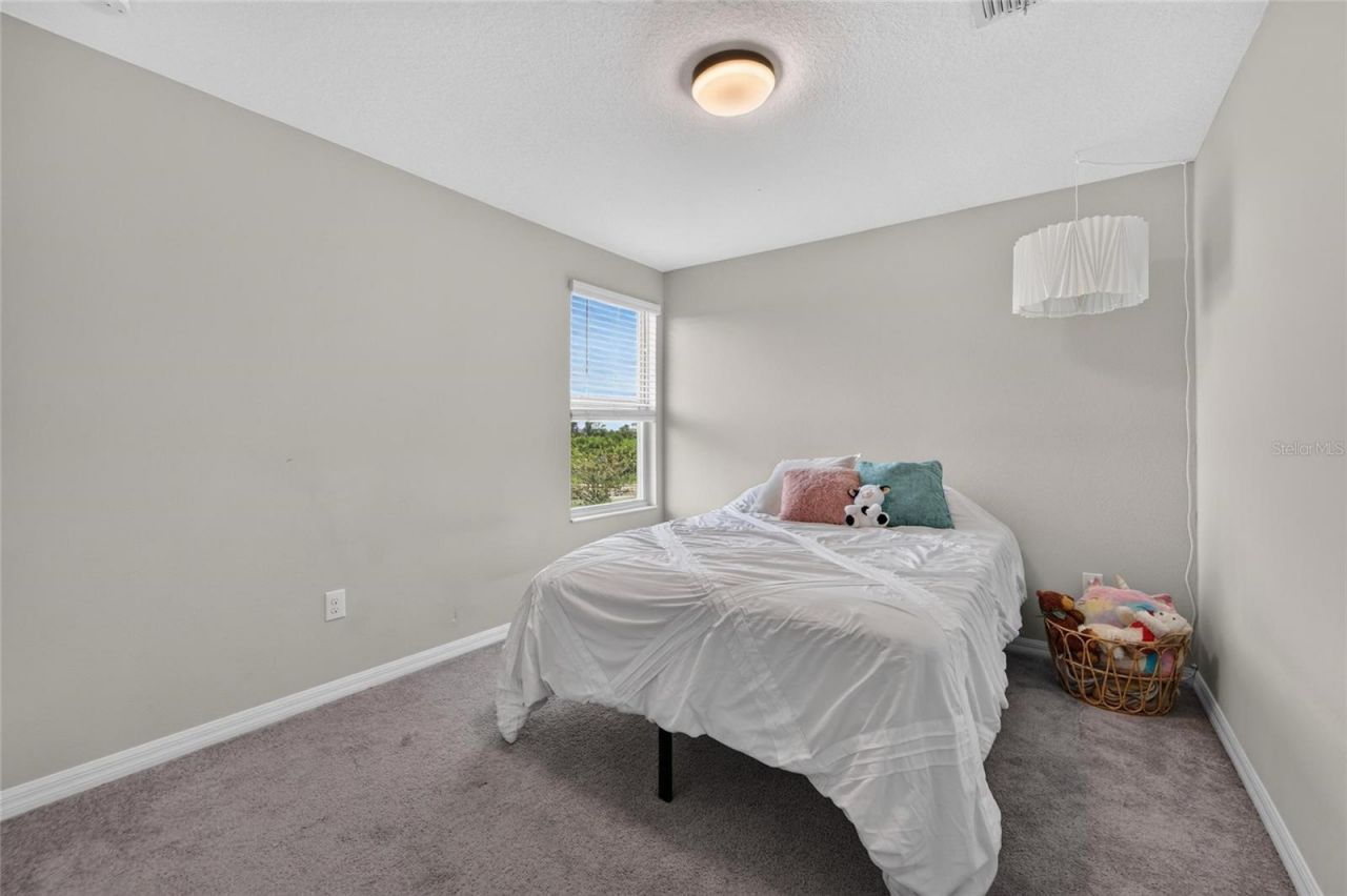 5119 White Chicory Drive, Apollo Beach, FL 33572 Photo