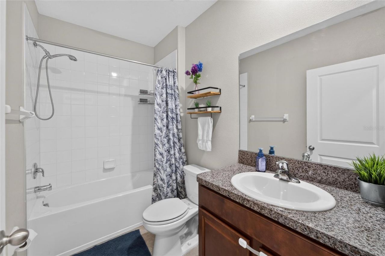 5119 White Chicory Drive, Apollo Beach, FL 33572 Photo