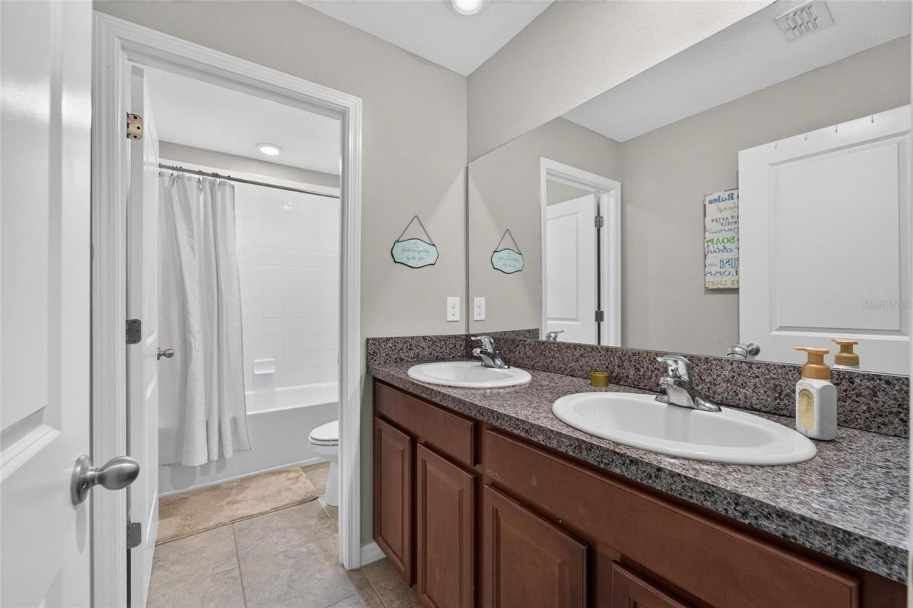 5119 White Chicory Drive, Apollo Beach, FL 33572 Photo