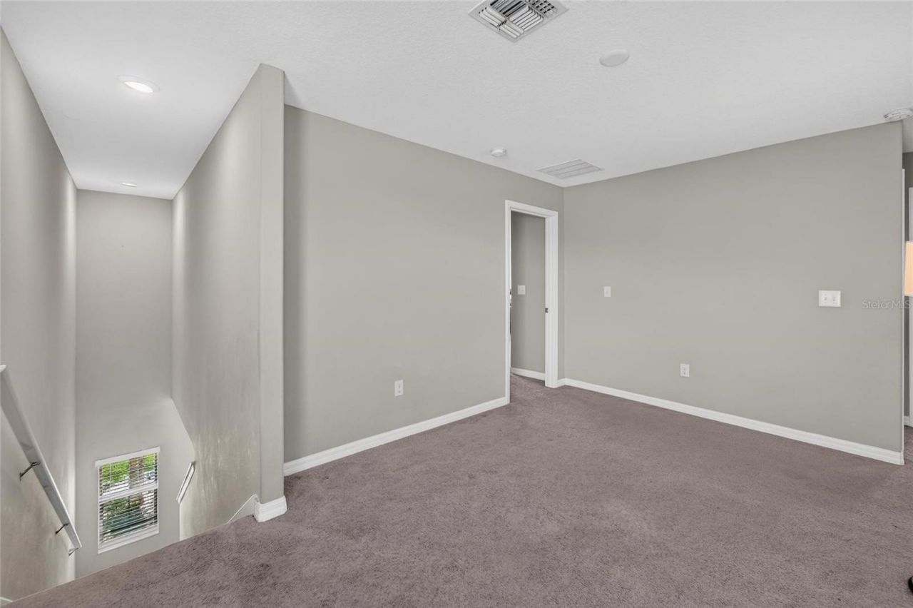 5119 White Chicory Drive, Apollo Beach, FL 33572 Photo