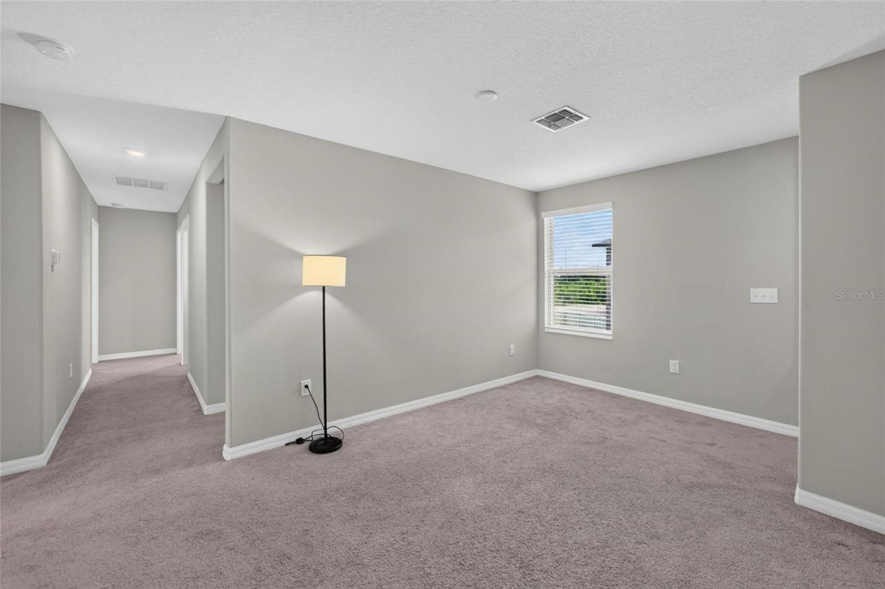 5119 White Chicory Drive, Apollo Beach, FL 33572 Photo