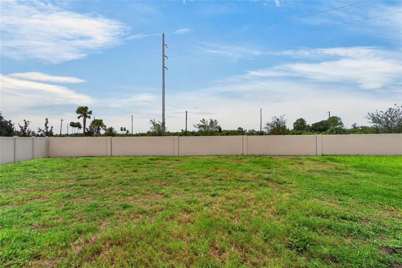 5119 White Chicory Drive, Apollo Beach, FL 33572 Photo
