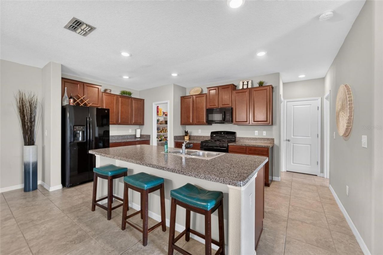 5119 White Chicory Drive, Apollo Beach, FL 33572 Photo
