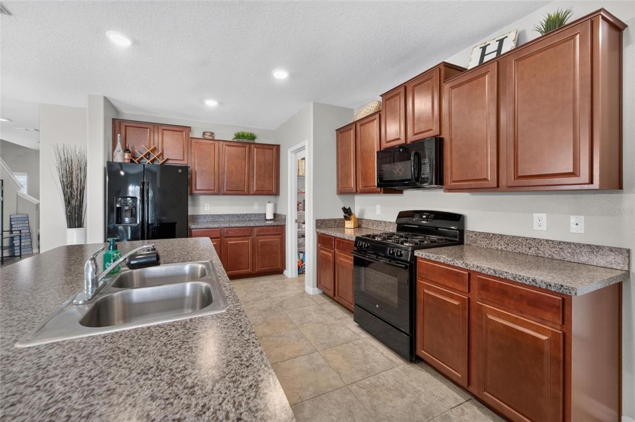5119 White Chicory Drive, Apollo Beach, FL 33572 Photo
