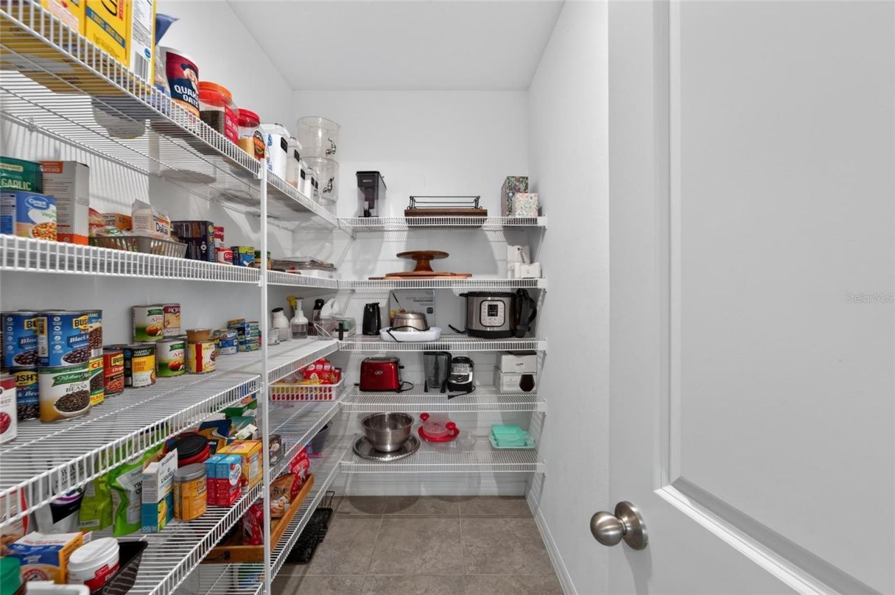 5119 White Chicory Drive, Apollo Beach, FL 33572 Photo