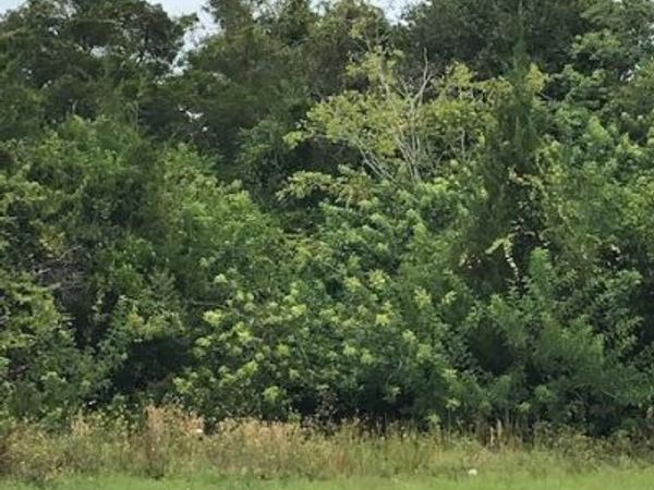 1324 Lpga Boulevard, Daytona Beach, FL 32117