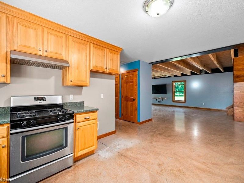 39491 Parsons Road, Grafton, OH 44044 Photo 10