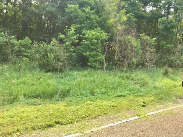 Lot I Buckhorn Road, Unit Lot I, Three Rivers, MI 49093