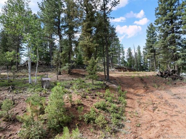 422 Spring Valley Drive , Divide, CO 80814