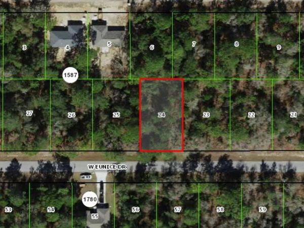 3059 W EUNICE Drive, Dunnellon, FL 34433