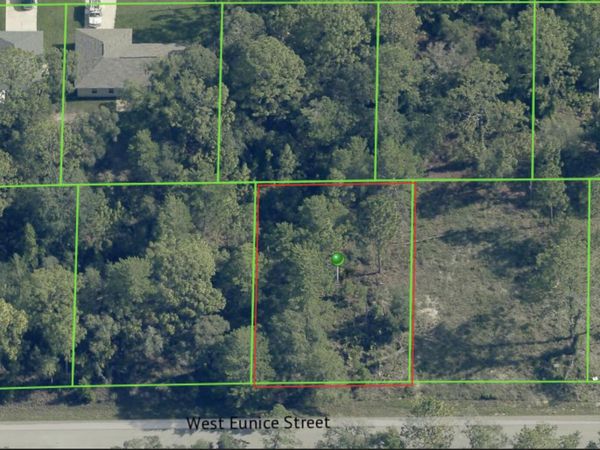 3059 W EUNICE Drive, Dunnellon, FL 34433