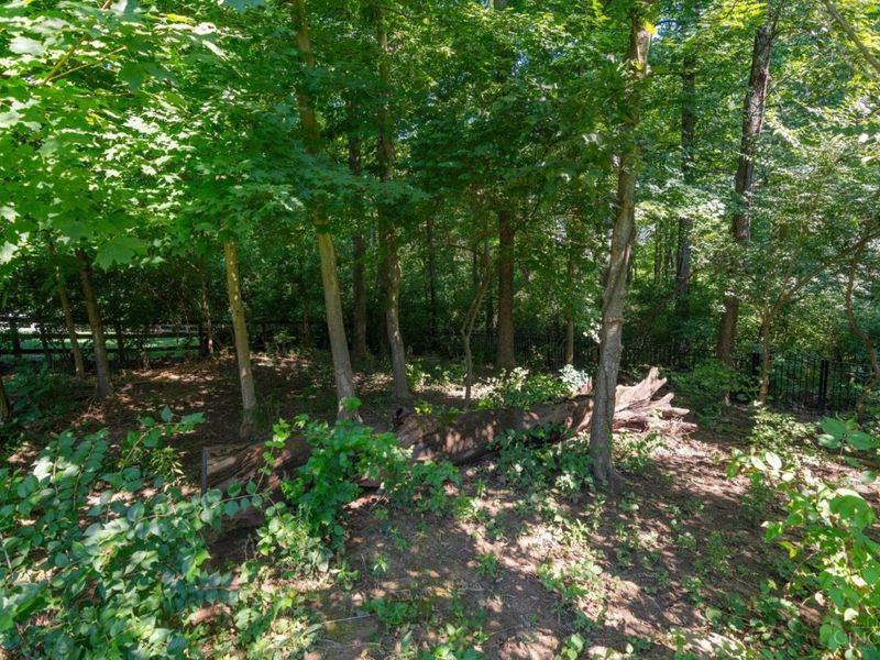 7006 Fort Scott Boulevard, Crosby Twp, OH 45030 Photo 52