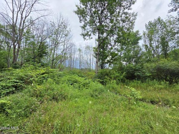 L-28.03 Halbert Hill Road, Unit L-28.03, South New Berlin, NY 13843