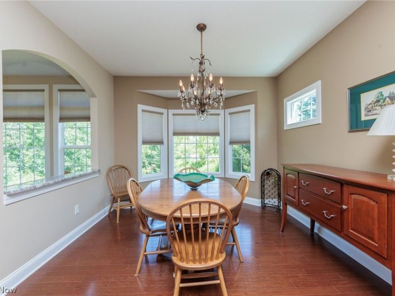 978 Cangemi Court, Macedonia, OH 44056 Photo 18