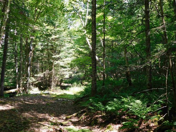 0 Cloutiers Loop, Pittsburg, NH 03592