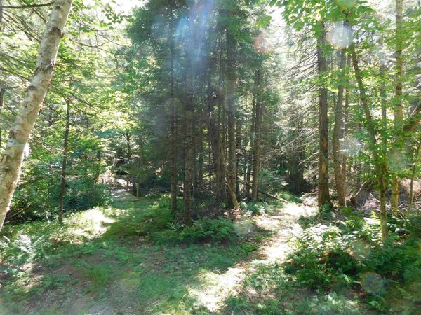 0 Cloutiers Loop, Pittsburg, NH 03592