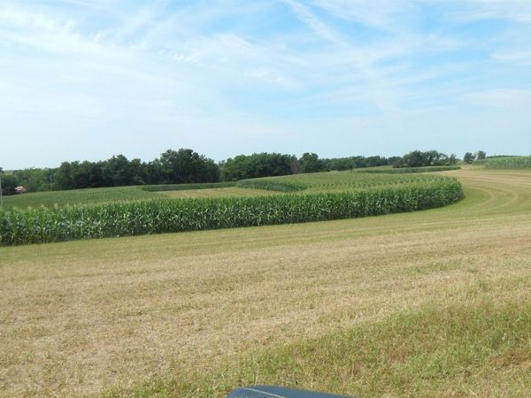8.01 Acres Alfred Drive, Ridgeway, WI 53582