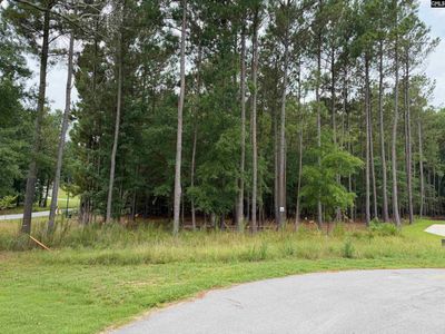 Lot 136 Stewart Landing Drive , Unit 136, Prosperity, SC 29167