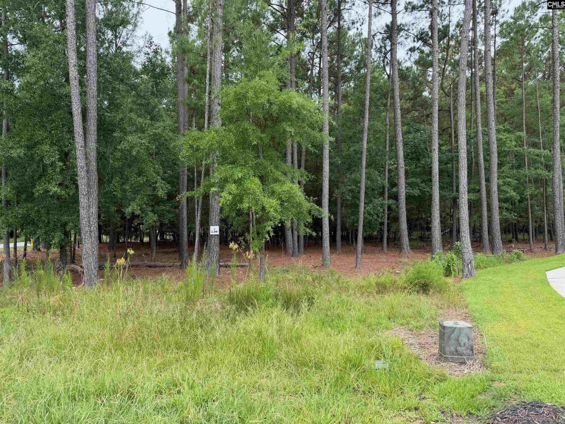 Lot 136 Stewart Landing Drive  Photo 4