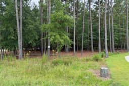 Lot 136 Stewart Landing Drive  photo 4