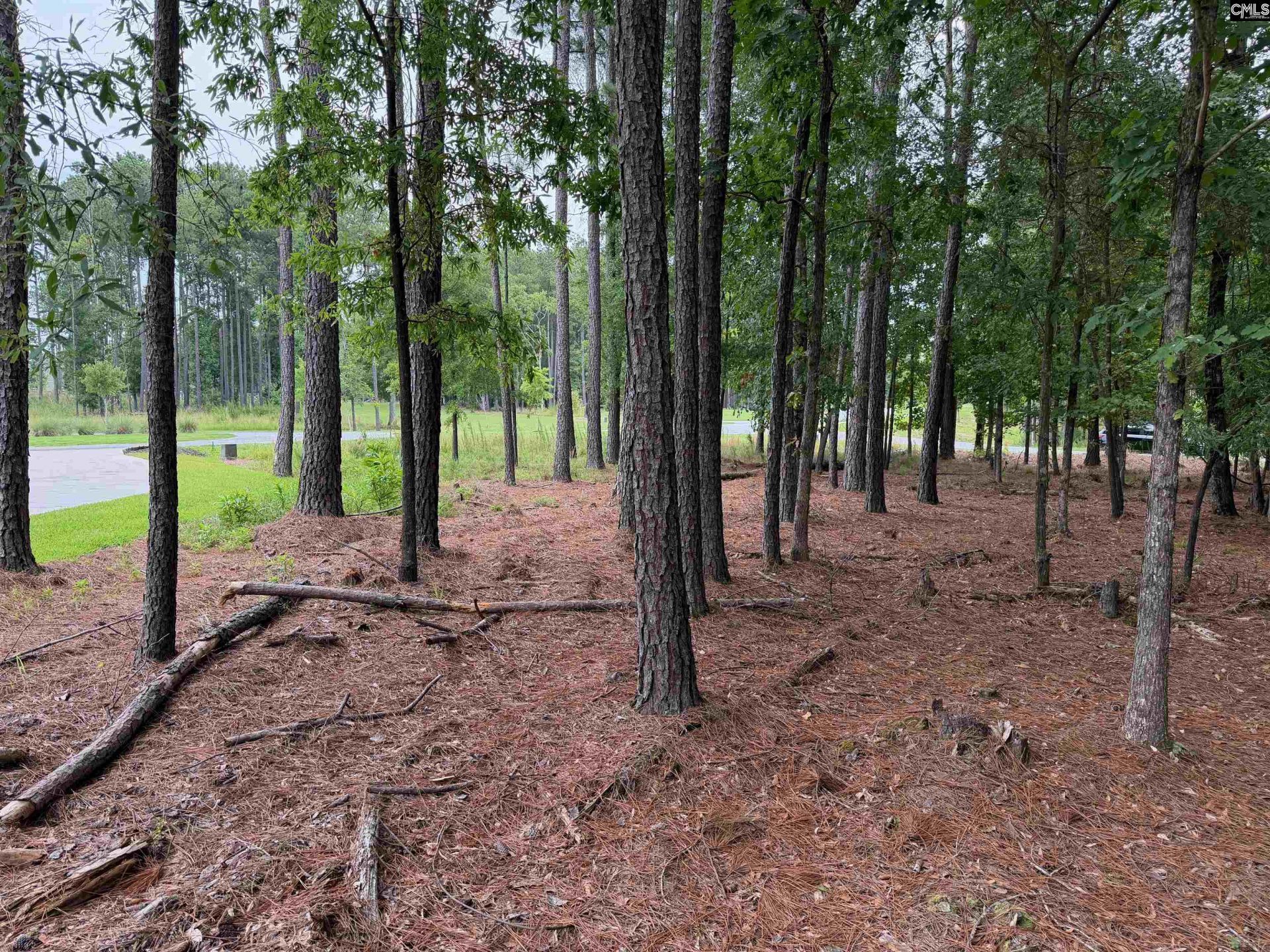 Lot 136 Stewart Landing Drive  Photo 5