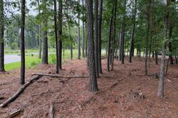 Lot 136 Stewart Landing Drive  photo 4