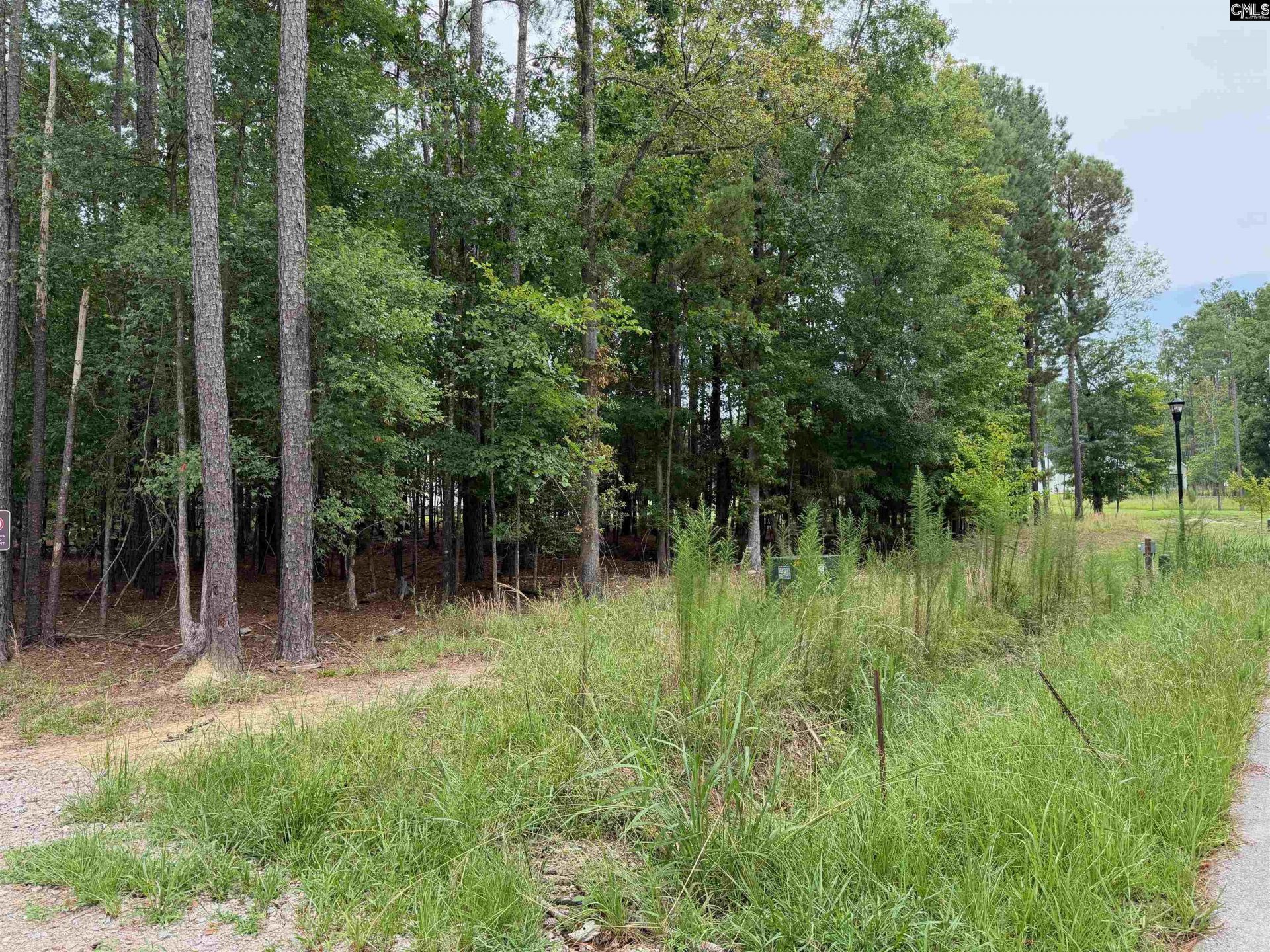 Lot 136 Stewart Landing Drive  Photo 6