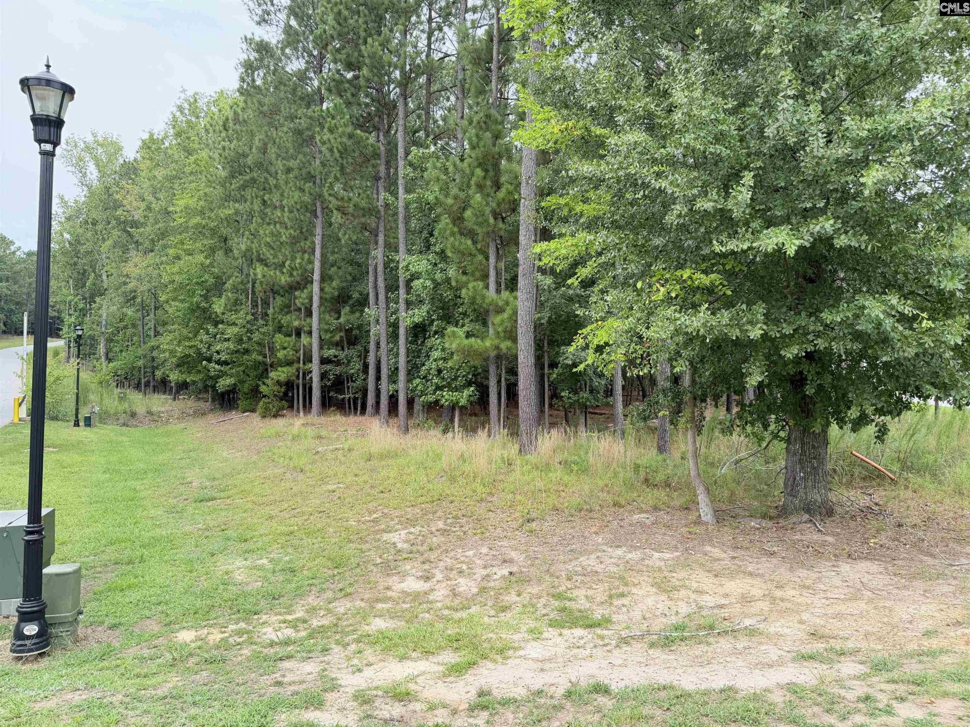 Lot 136 Stewart Landing Drive  Photo 9